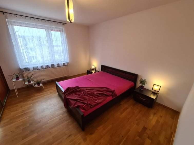 Apartament Na Poddaszu - Bielawa 비엘라와 외부 사진